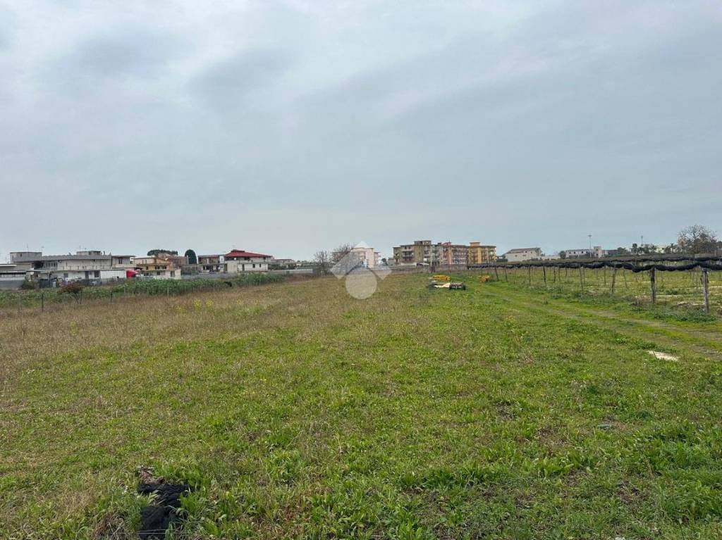 immagine annuncio 6 di 9