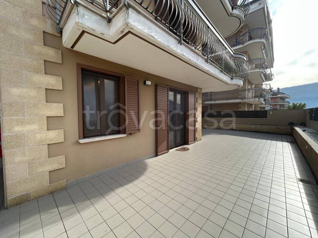 immagine annuncio 7 di 12