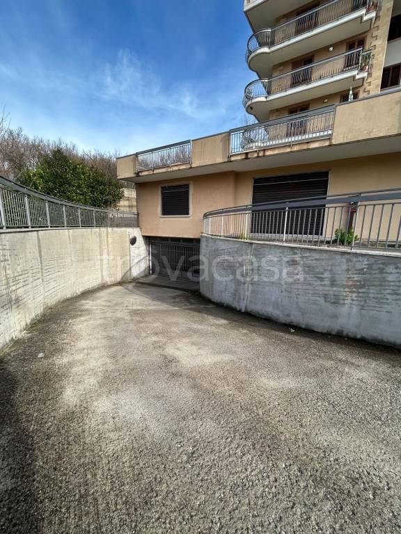 immagine annuncio 9 di 12