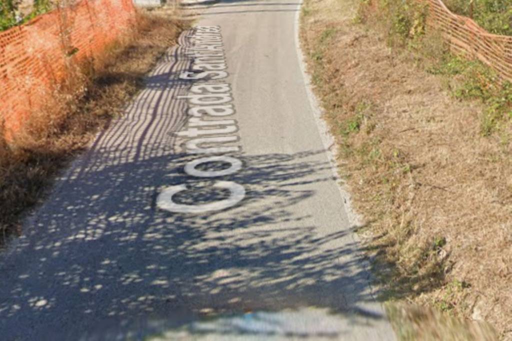 immagine annuncio 8 di 15