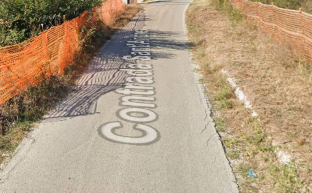 immagine annuncio 12 di 15