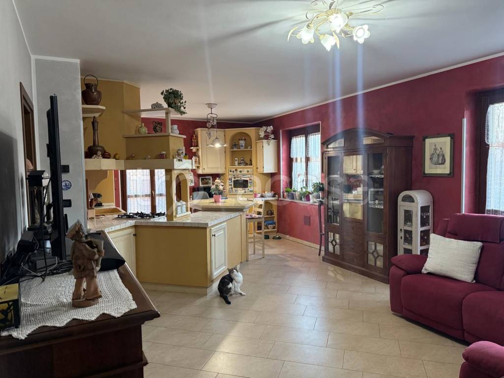 immagine annuncio 3 di 15