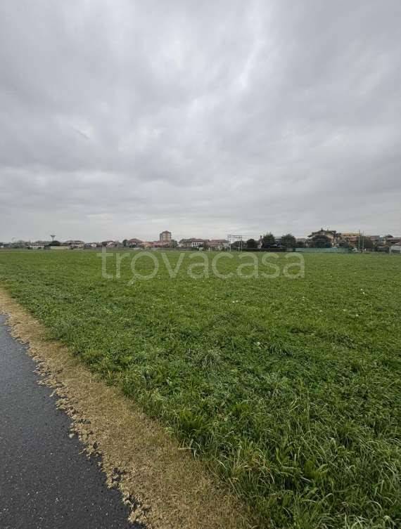 immagine annuncio 2 di 9