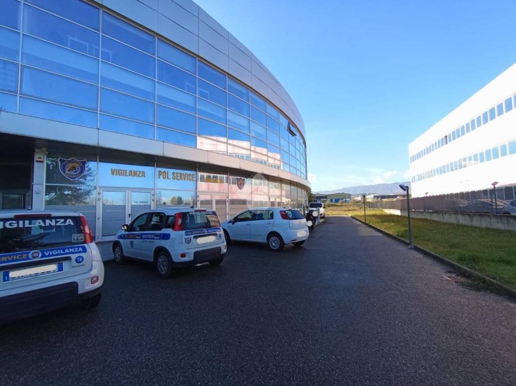 immagine annuncio 3 di 9