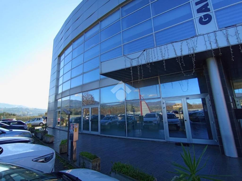 immagine annuncio 5 di 9