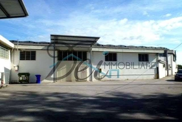 immagine annuncio 1 di 11