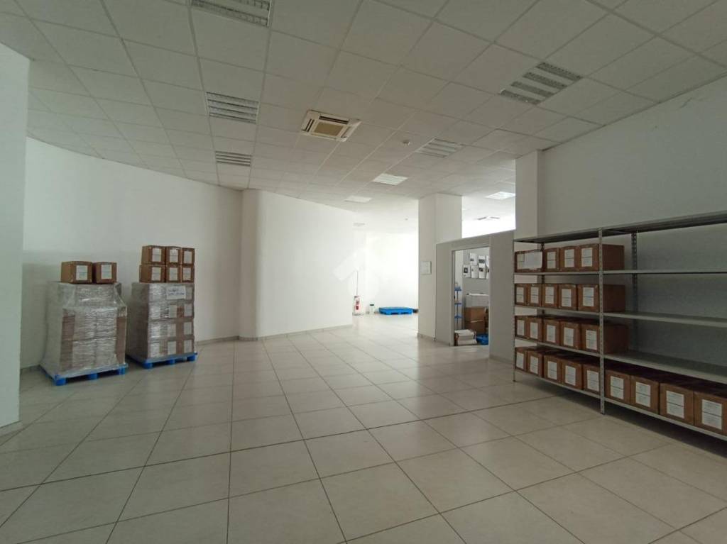 immagine annuncio 9 di 15