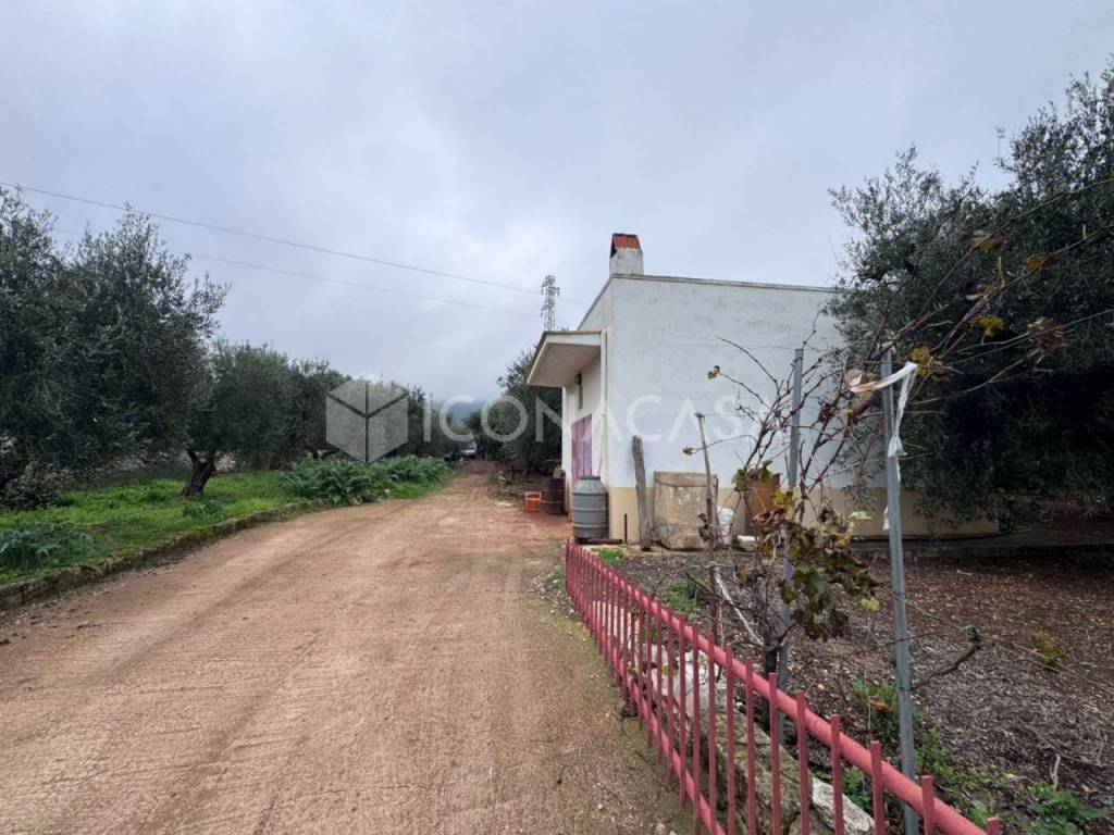 immagine annuncio 4 di 14