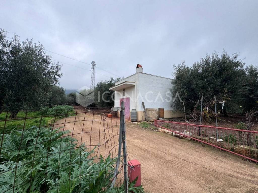 immagine annuncio 5 di 14