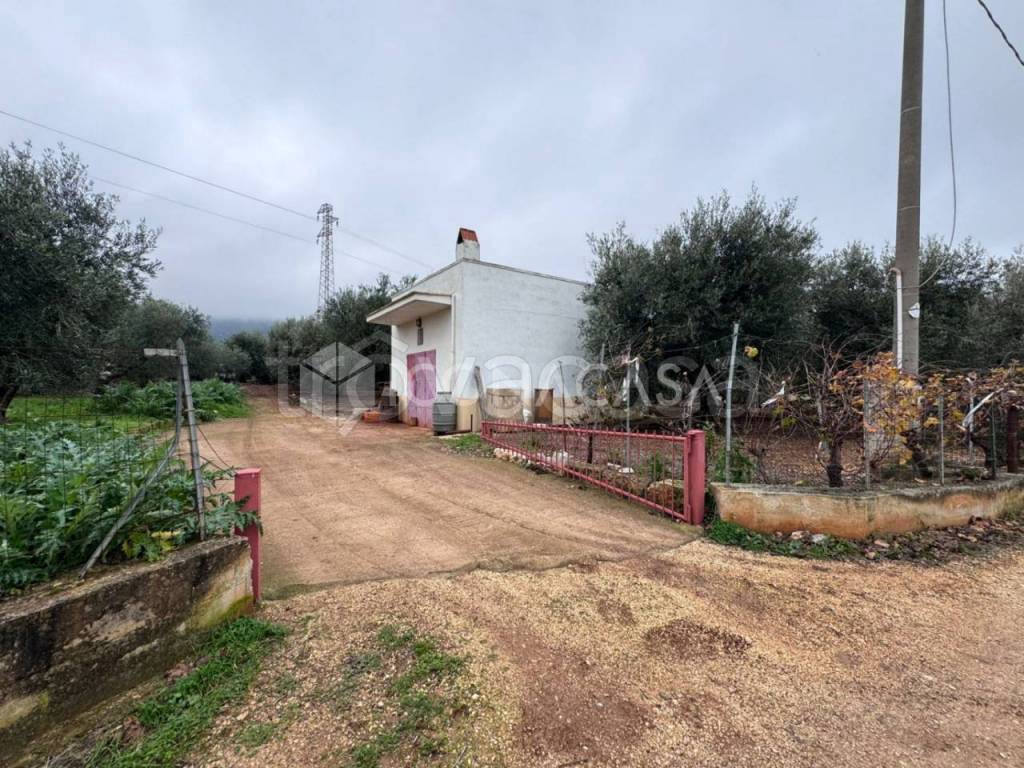 immagine annuncio 10 di 14