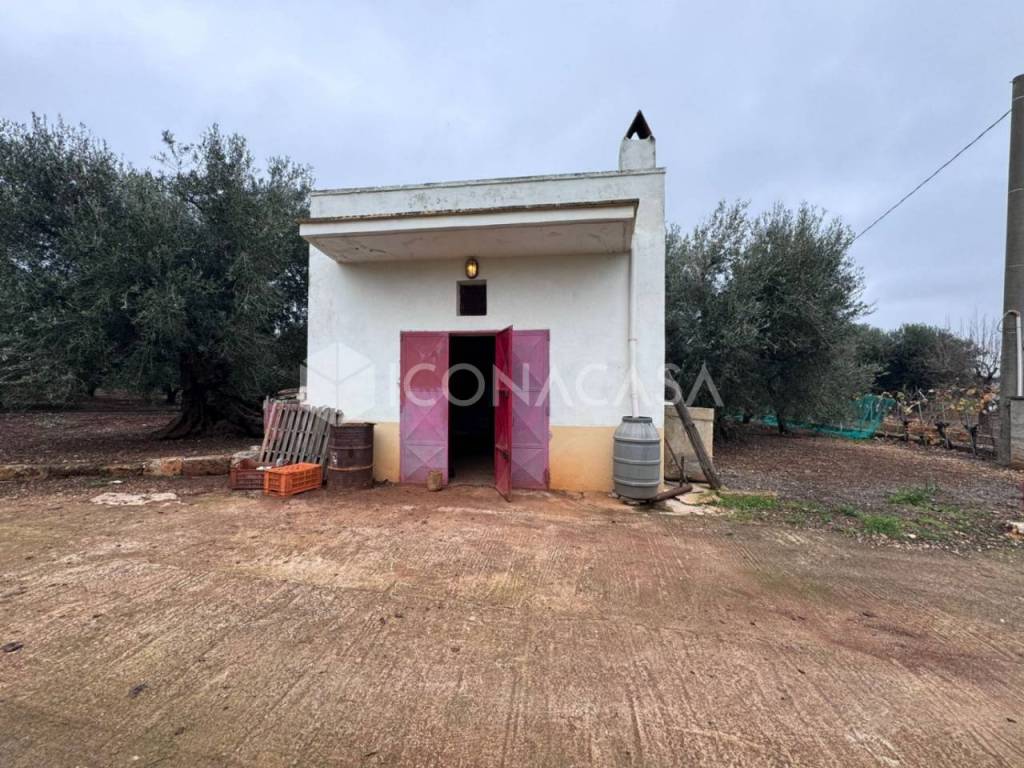 immagine annuncio 11 di 14