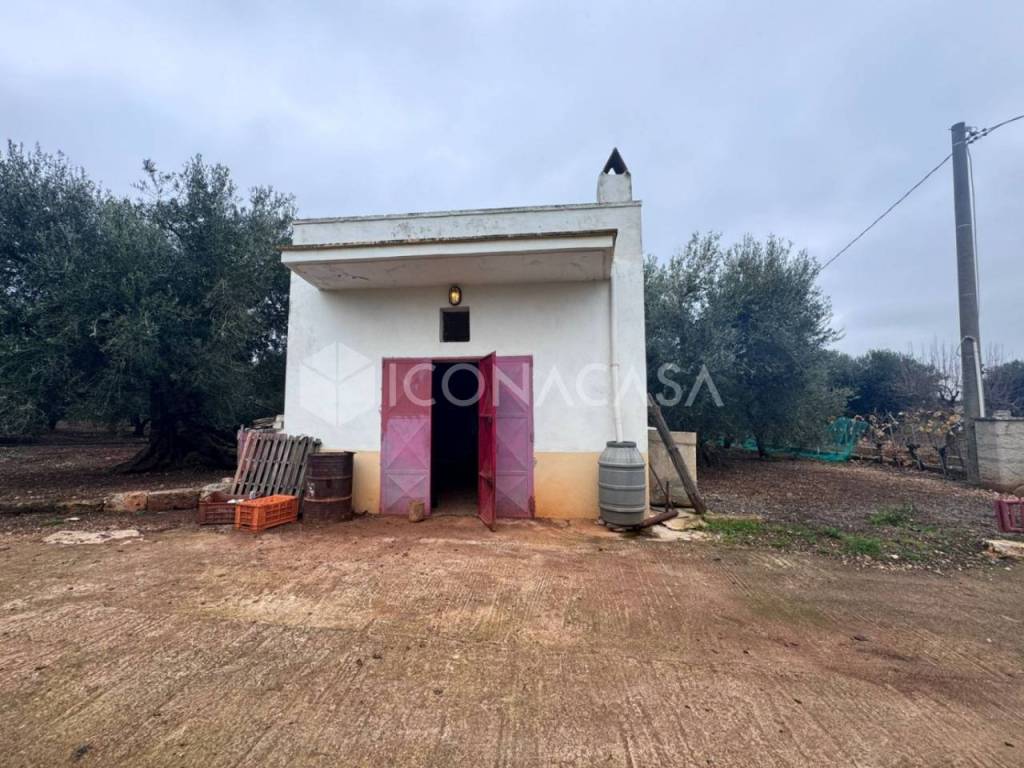 immagine annuncio 12 di 14