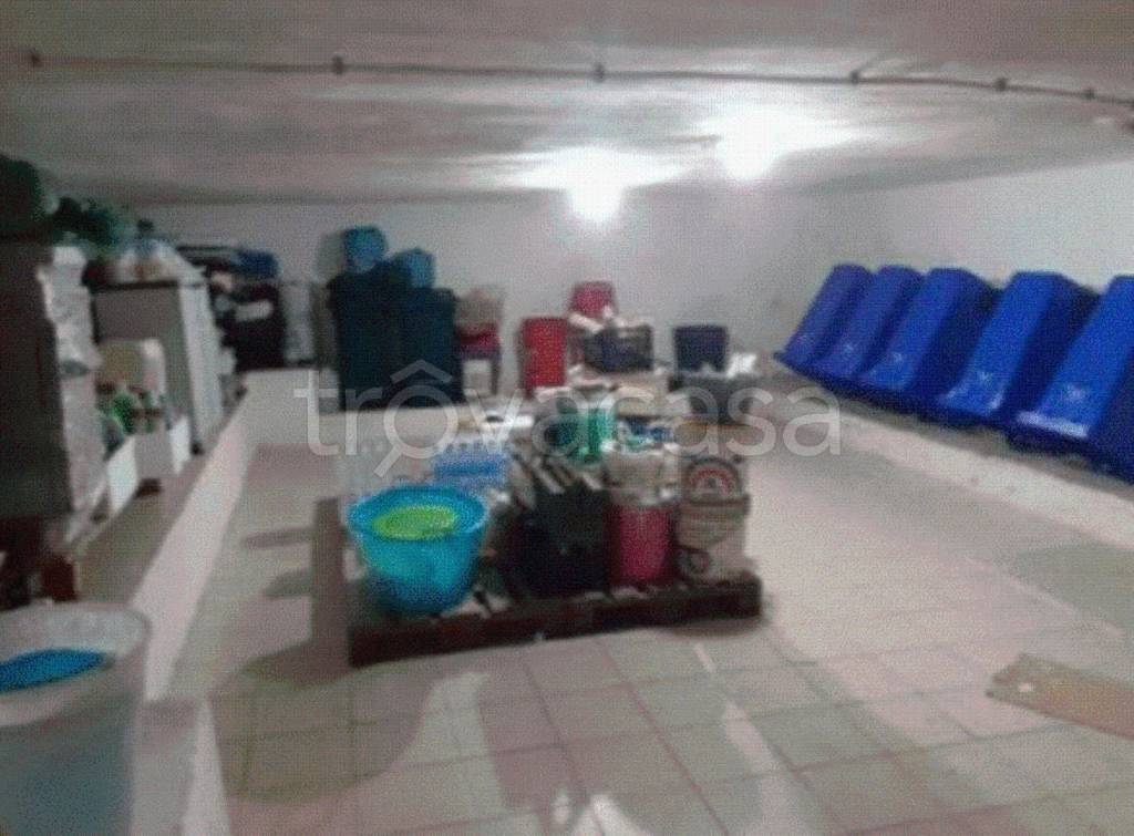 immagine annuncio 5 di 11