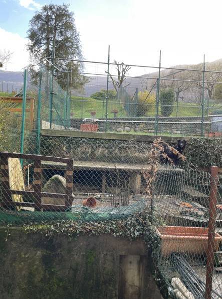 immagine annuncio 6 di 14