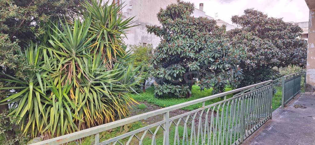 immagine annuncio 7 di 14