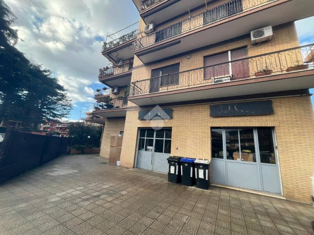 immagine annuncio 5 di 12