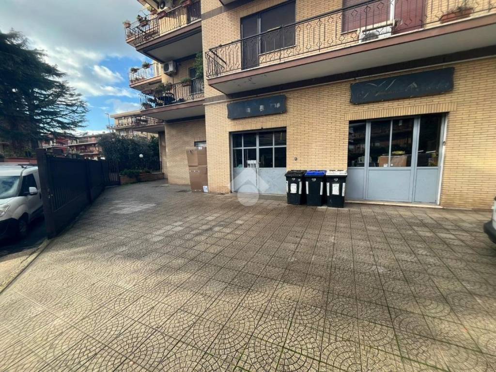 immagine annuncio 9 di 12