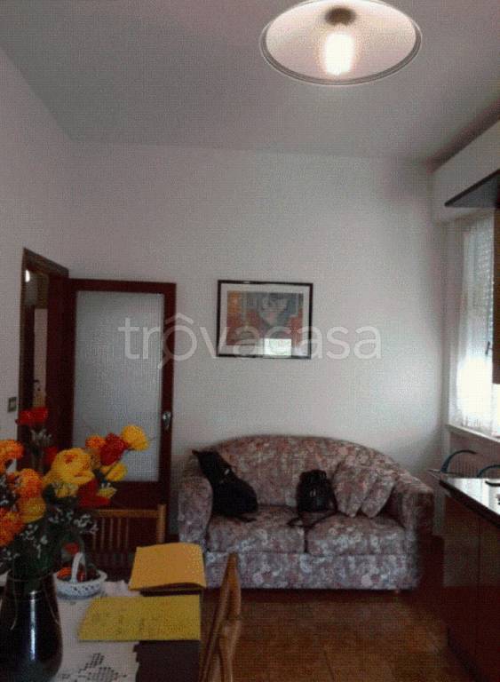 immagine annuncio 2 di 14
