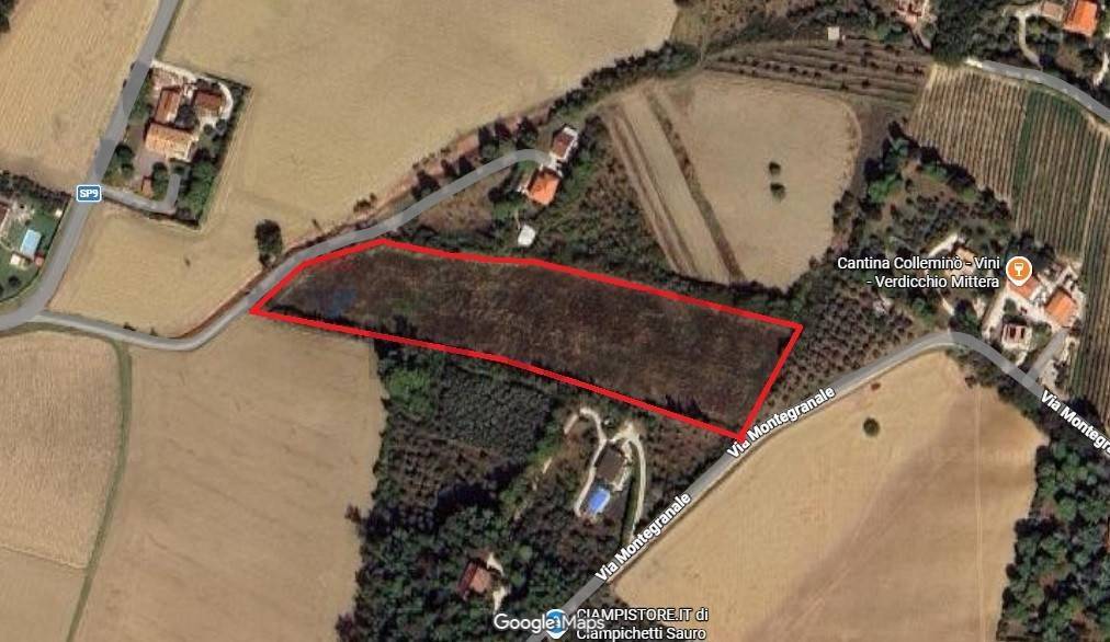 immagine annuncio 1 di 10