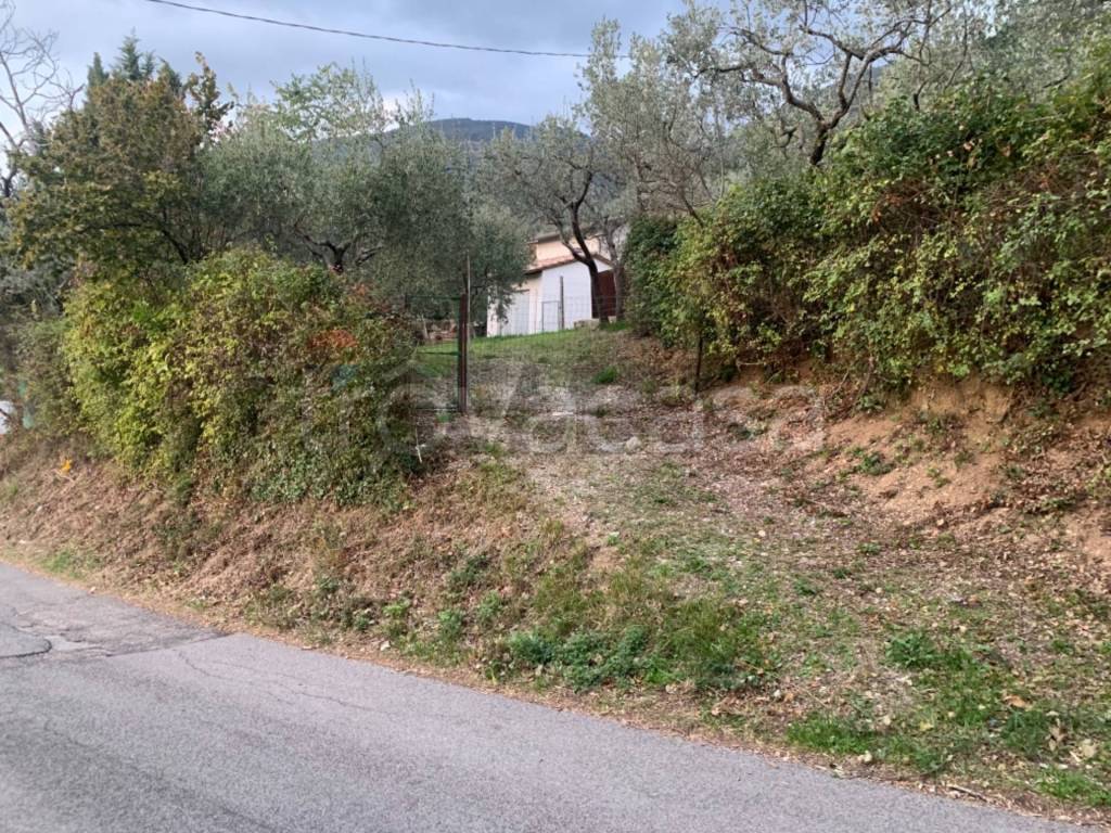 immagine annuncio 6 di 14