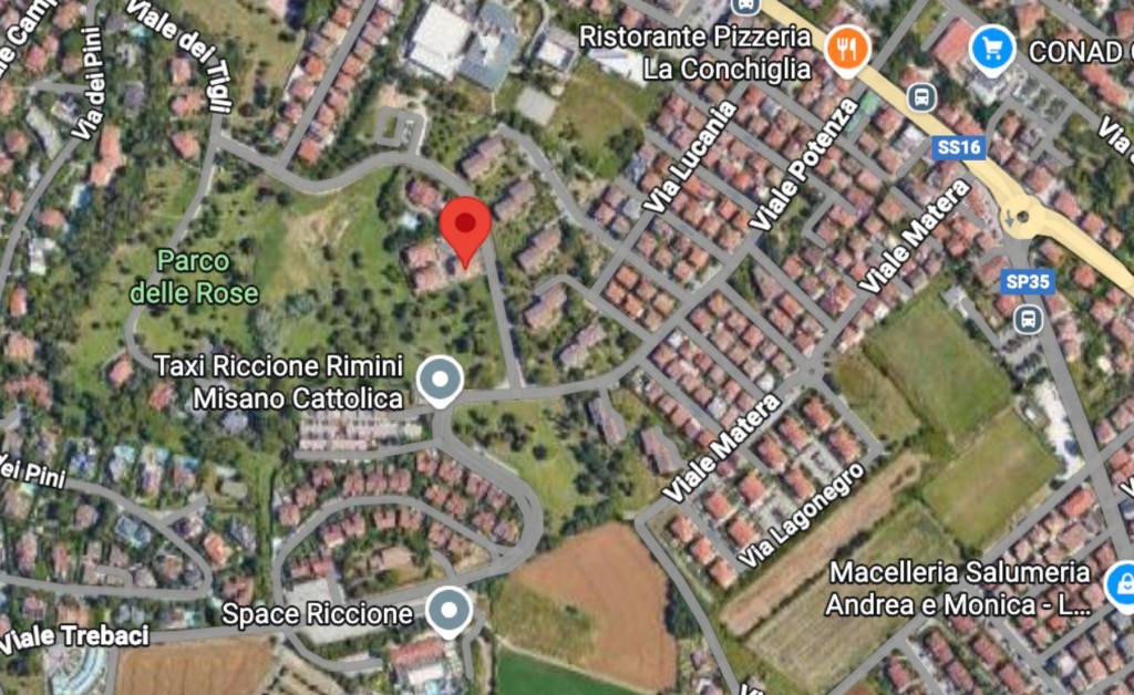 immagine annuncio 9 di 10