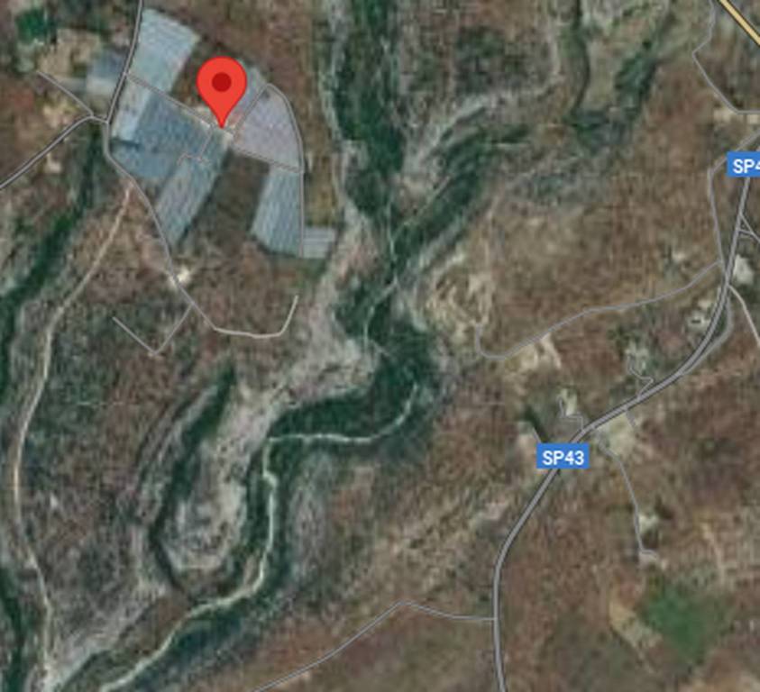 immagine annuncio 2 di 11