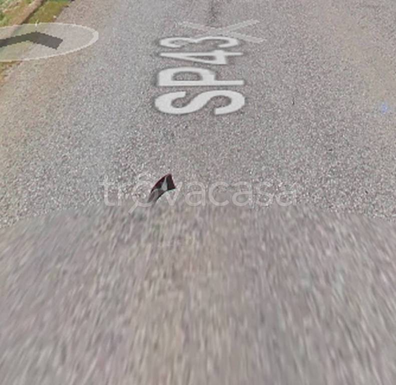 immagine annuncio 5 di 11