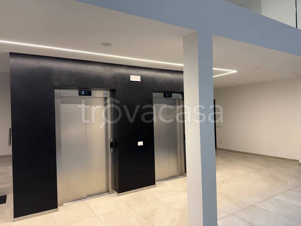 immagine annuncio 12 di 14