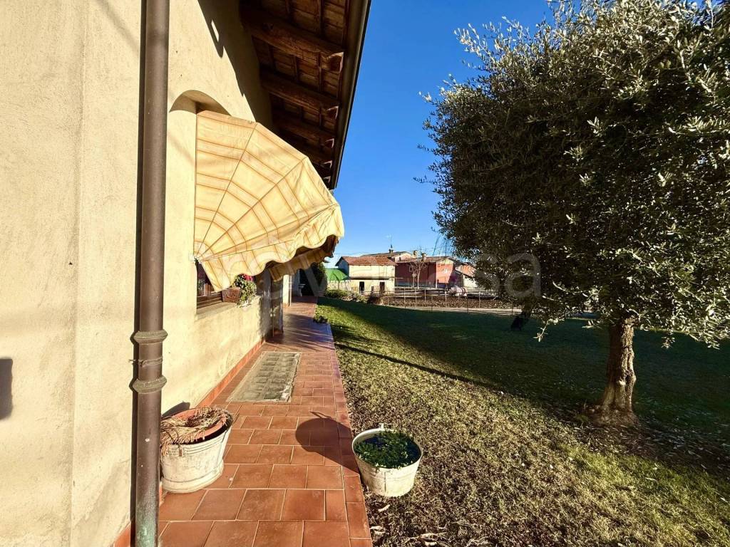 immagine annuncio 10 di 15