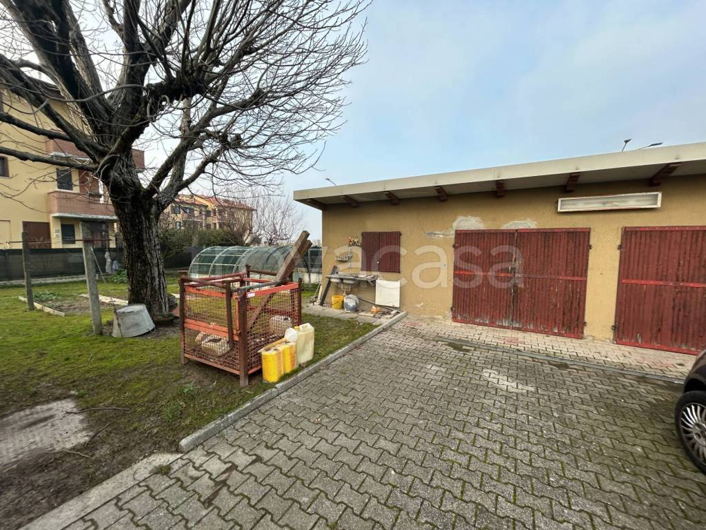 immagine annuncio 5 di 15