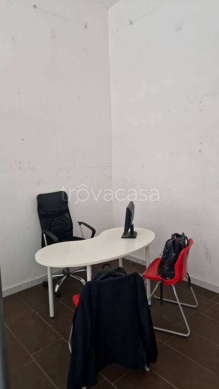 immagine annuncio 9 di 14