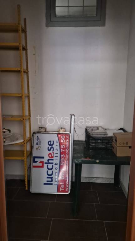 immagine annuncio 12 di 14