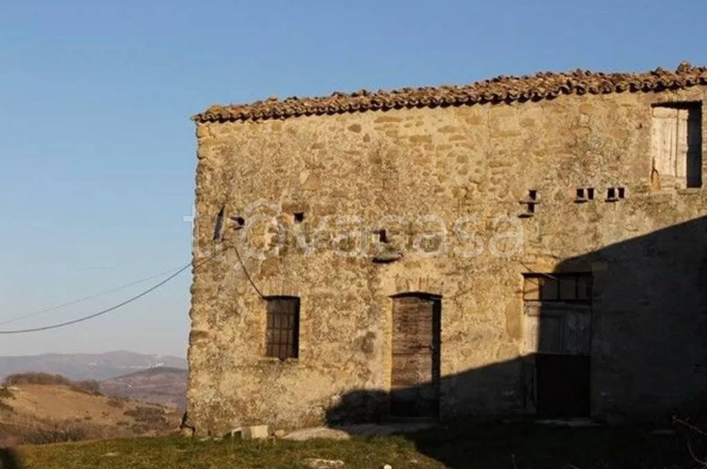 immagine annuncio 9 di 12