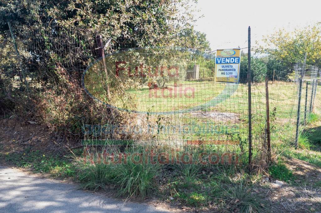 immagine annuncio 1 di 7