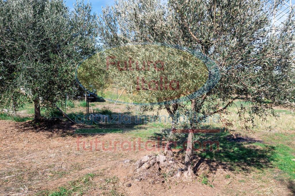 immagine annuncio 2 di 7