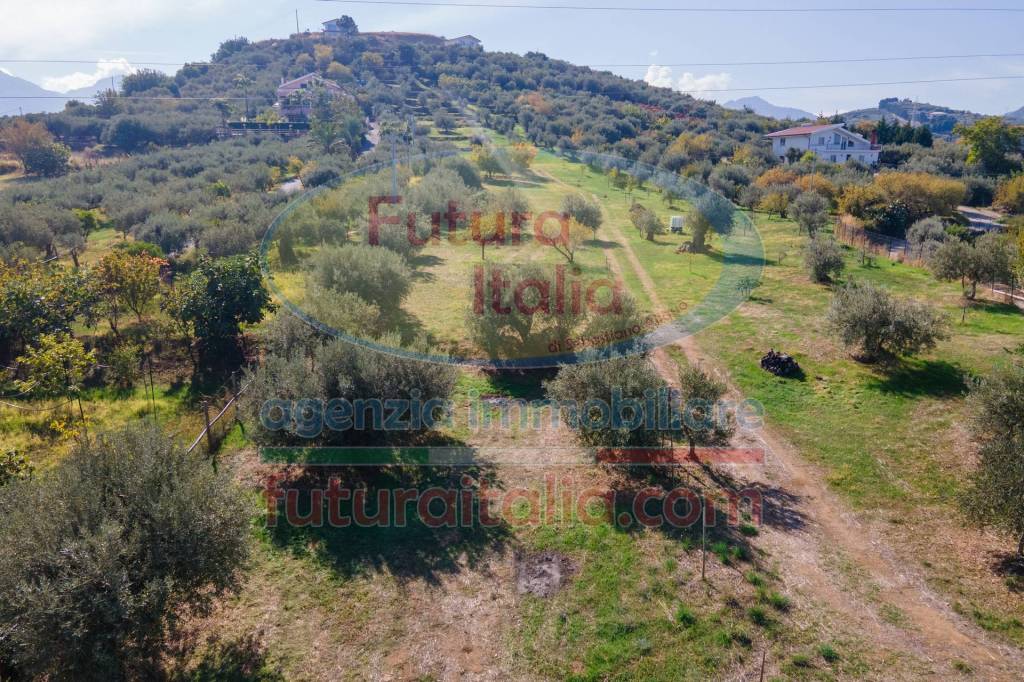 immagine annuncio 5 di 7