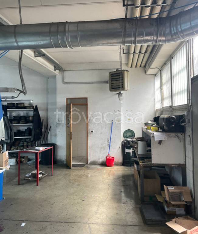 immagine annuncio 5 di 11