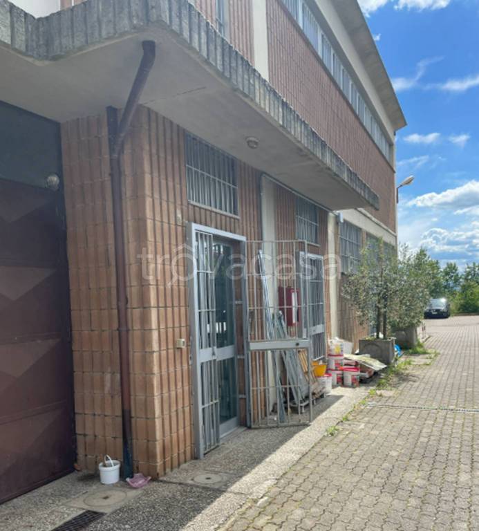 immagine annuncio 9 di 11