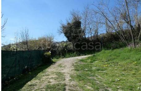 immagine annuncio 2 di 9