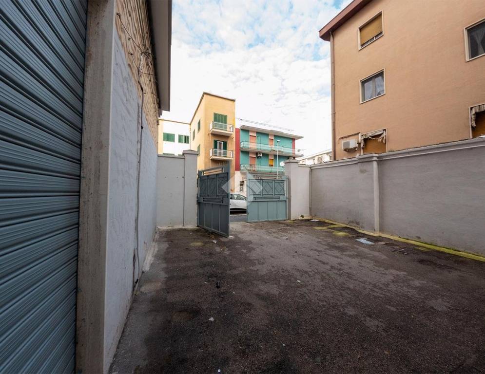 immagine annuncio 5 di 15