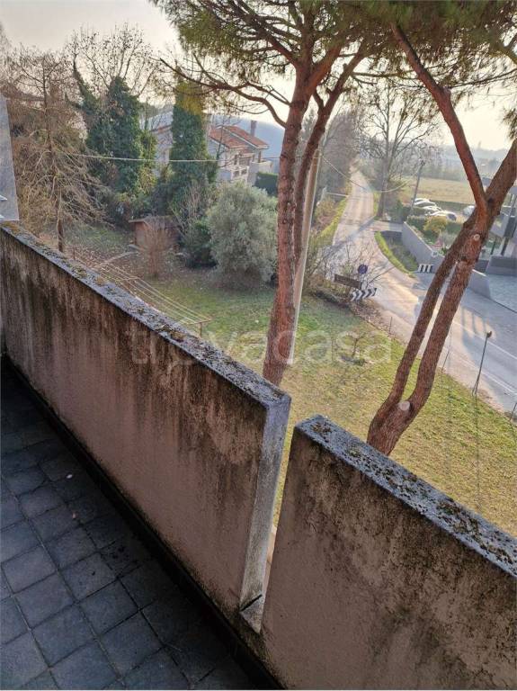 immagine annuncio 10 di 14