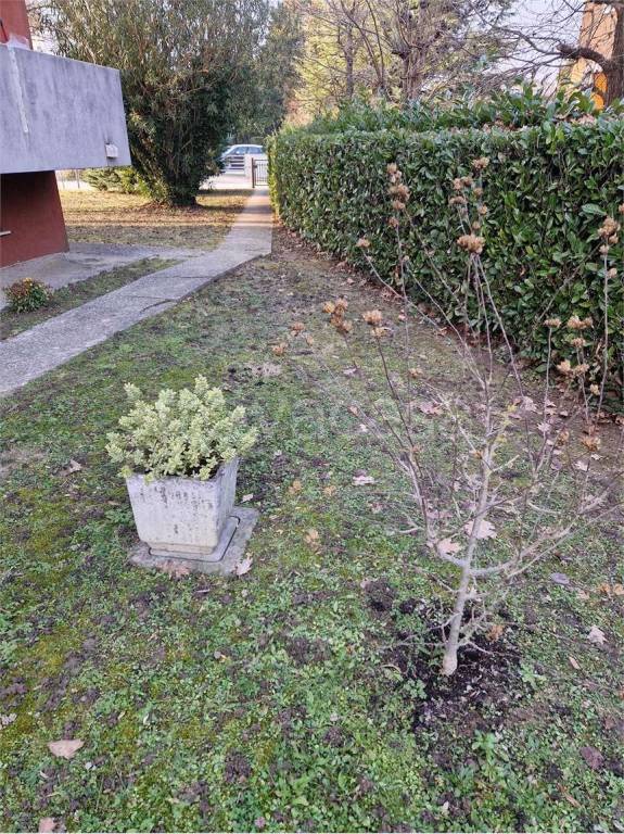 immagine annuncio 13 di 14