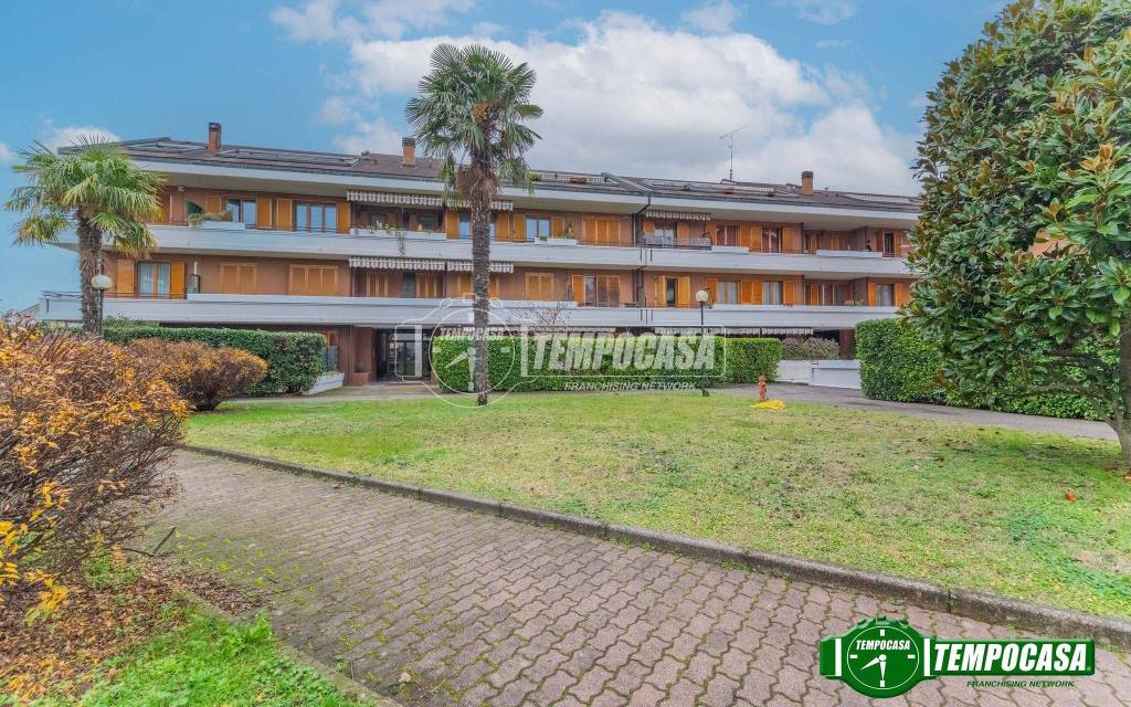 immagine annuncio 12 di 15