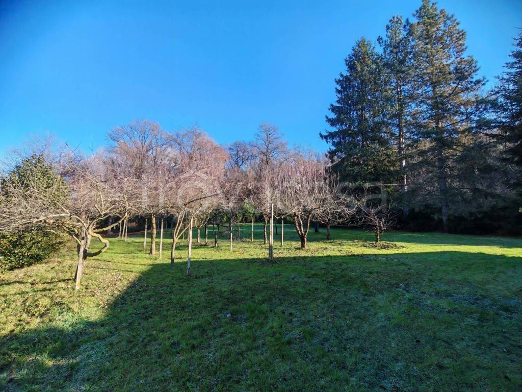 immagine annuncio 2 di 8