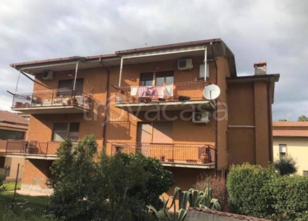 immagine annuncio 3 di 13