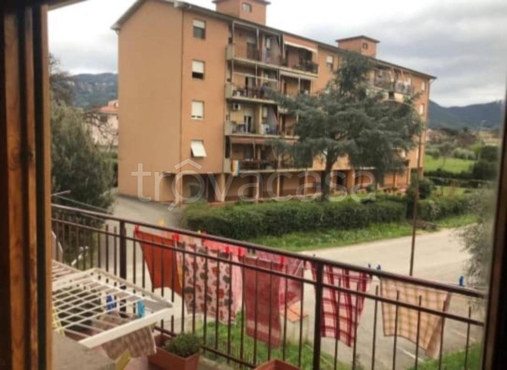 immagine annuncio 10 di 13