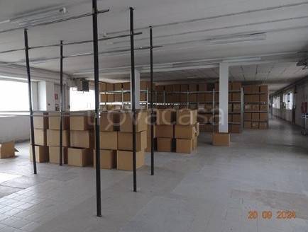 immagine annuncio 2 di 9