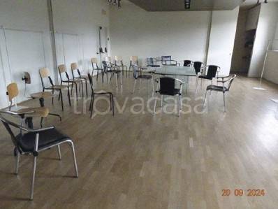 immagine annuncio 4 di 9