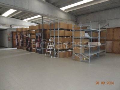 immagine annuncio 5 di 9