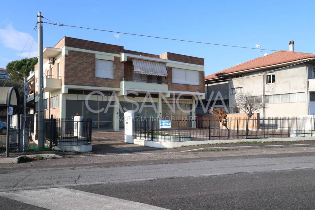 immagine annuncio 9 di 11